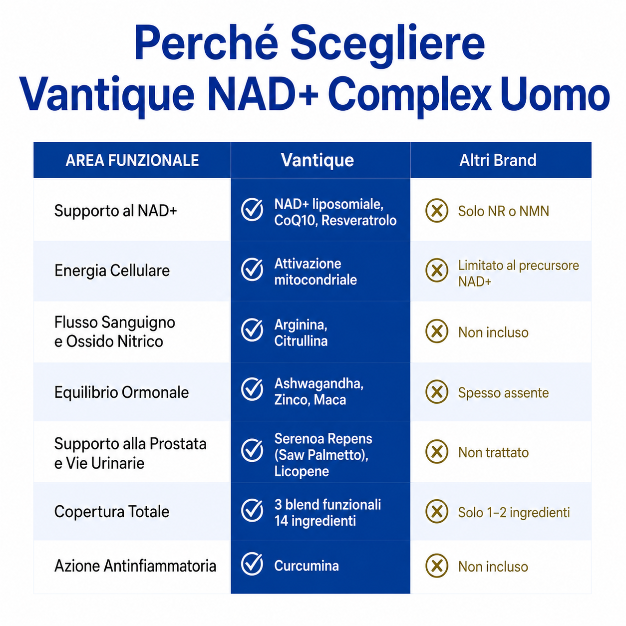 NAD+ リポソーム 男性用｜エネルギー・活力・パフォーマンス